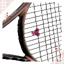 All products_OnRacket (1).webp