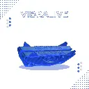 5.webp