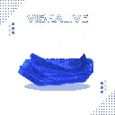 4.webp