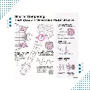 Frame Stabilizer Blue_MP (8).webp