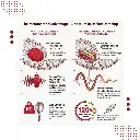 8.webp