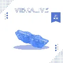 5.webp