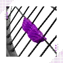 2.webp